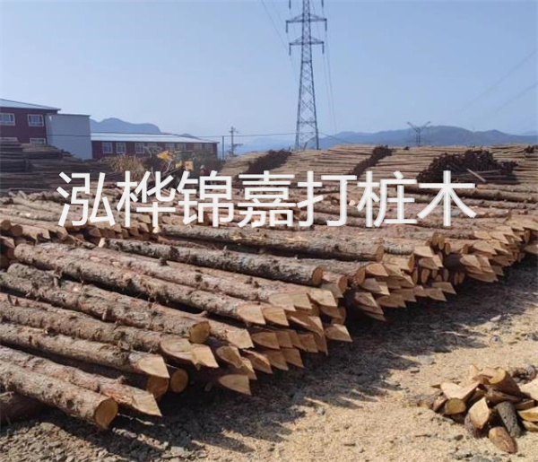 高效、穩定的松木樁圍護施工圖