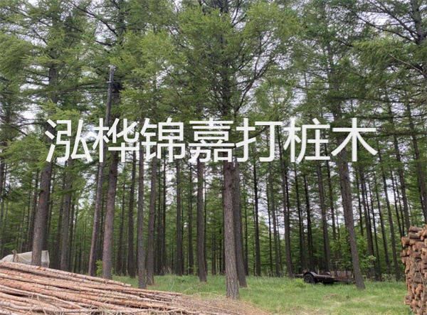 上海圍欄松木樁施工，為你打造安全舒適的園林空間