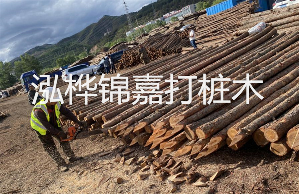 上海護岸松木樁施工，保護城市江岸美景
