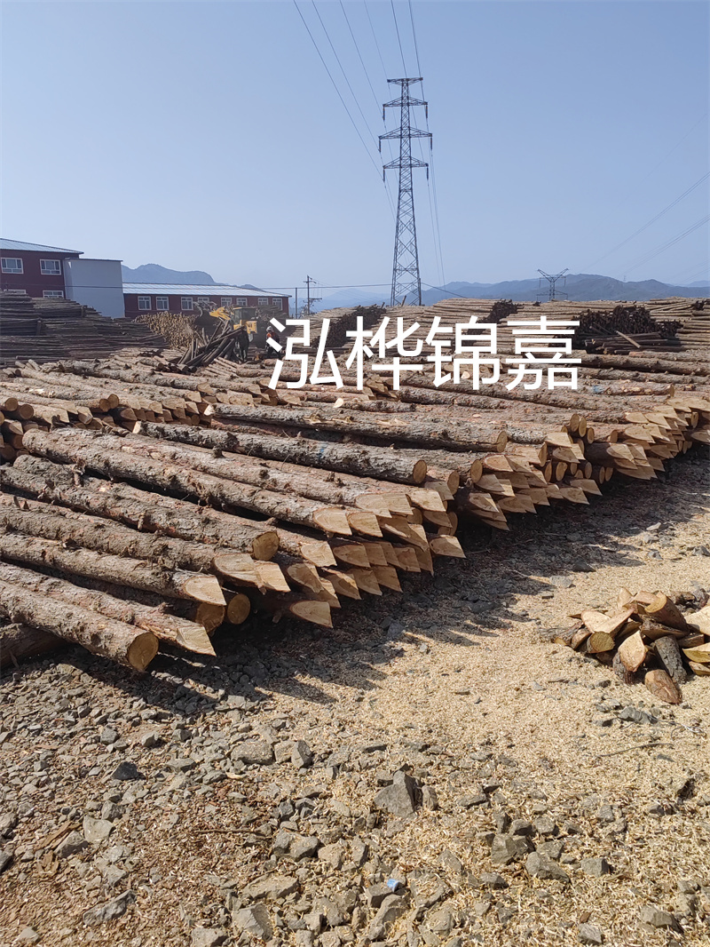 上海河道松木樁施工，打造美麗城市綠色生態環境