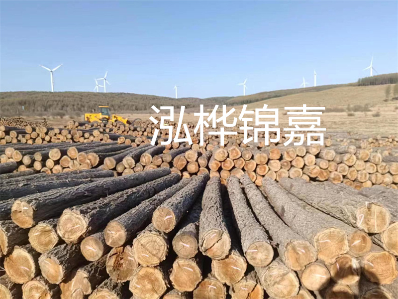 溫州松木樁施工廠家——為您打造堅固穩定的建筑基礎！