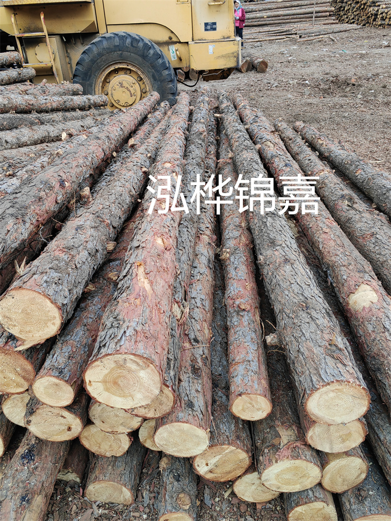 松木樁作為樁基施工平臺，穩固可靠！